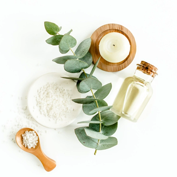 Eucalyptus and Sea Salt | My French Perfume