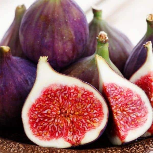 Fig | My French Perfume