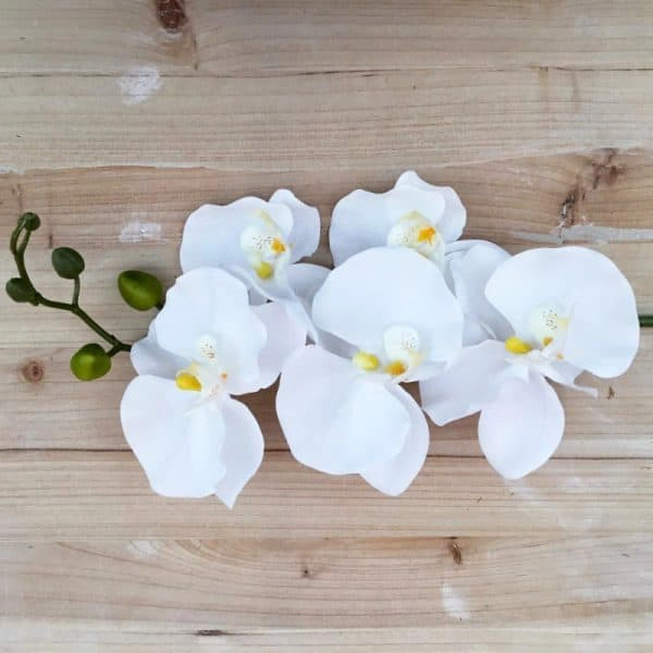 White Orchid | My French Perfume