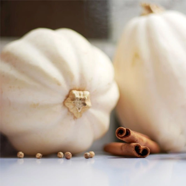 White pumpkin amber | My French Perfume