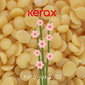 image du produit: Candle Wax <span>Candelilla wax</span>